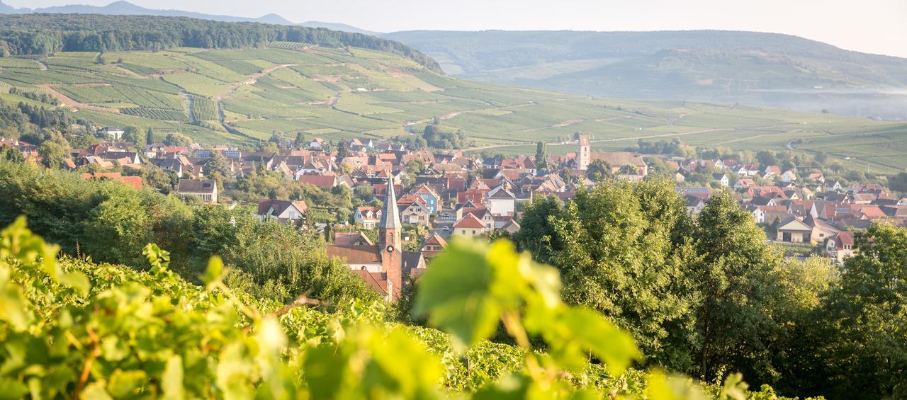 Gites & Chambes D'Hotes Fugler Orschwihr Bagian luar foto